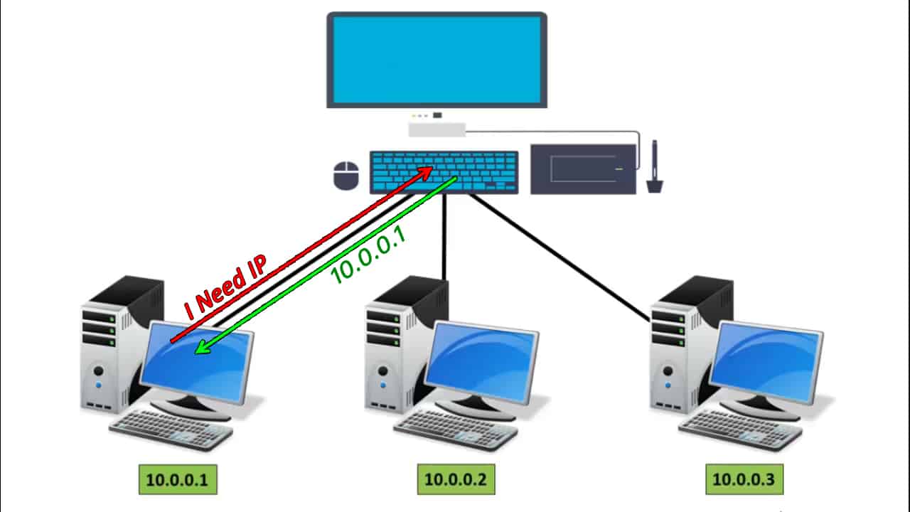 dynamic host configuration protocol