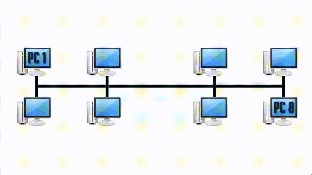 bridge in networking