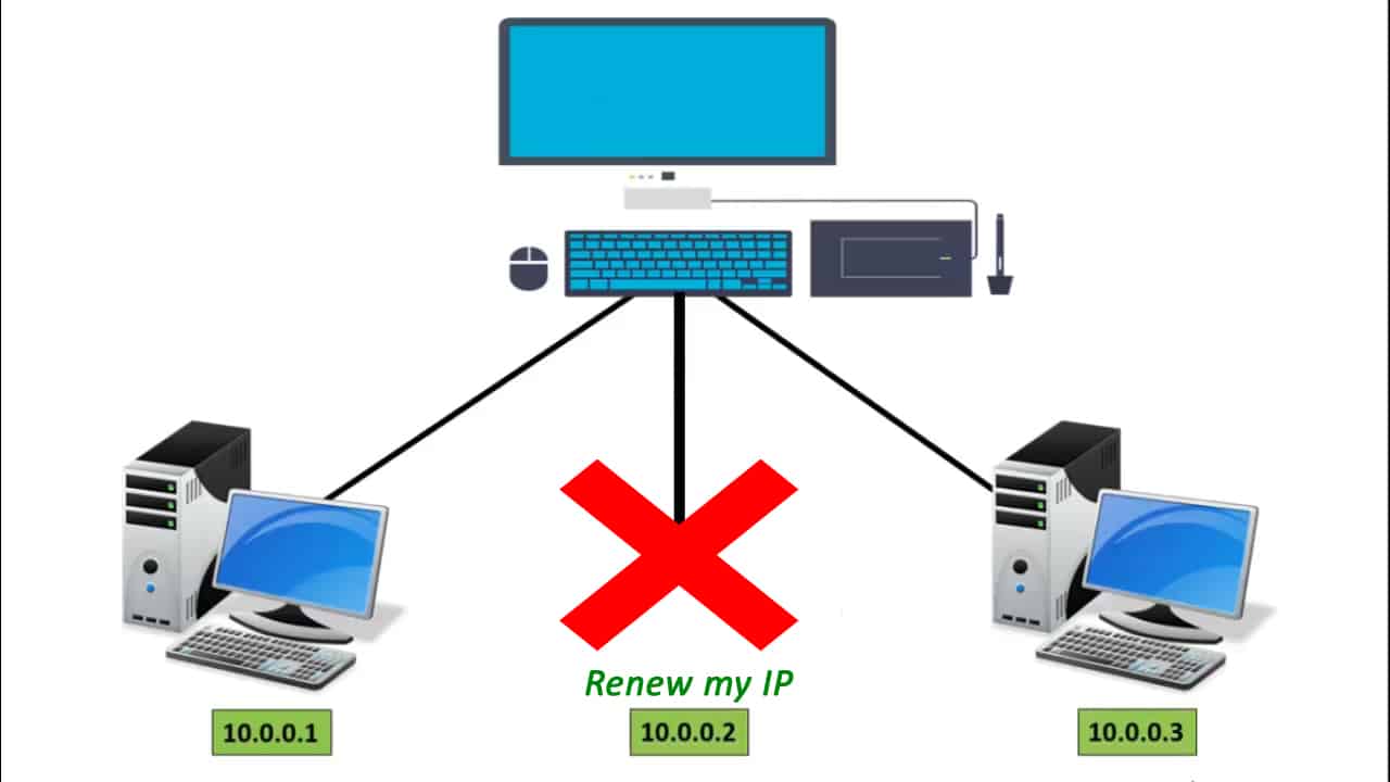 how dhcp works step by step