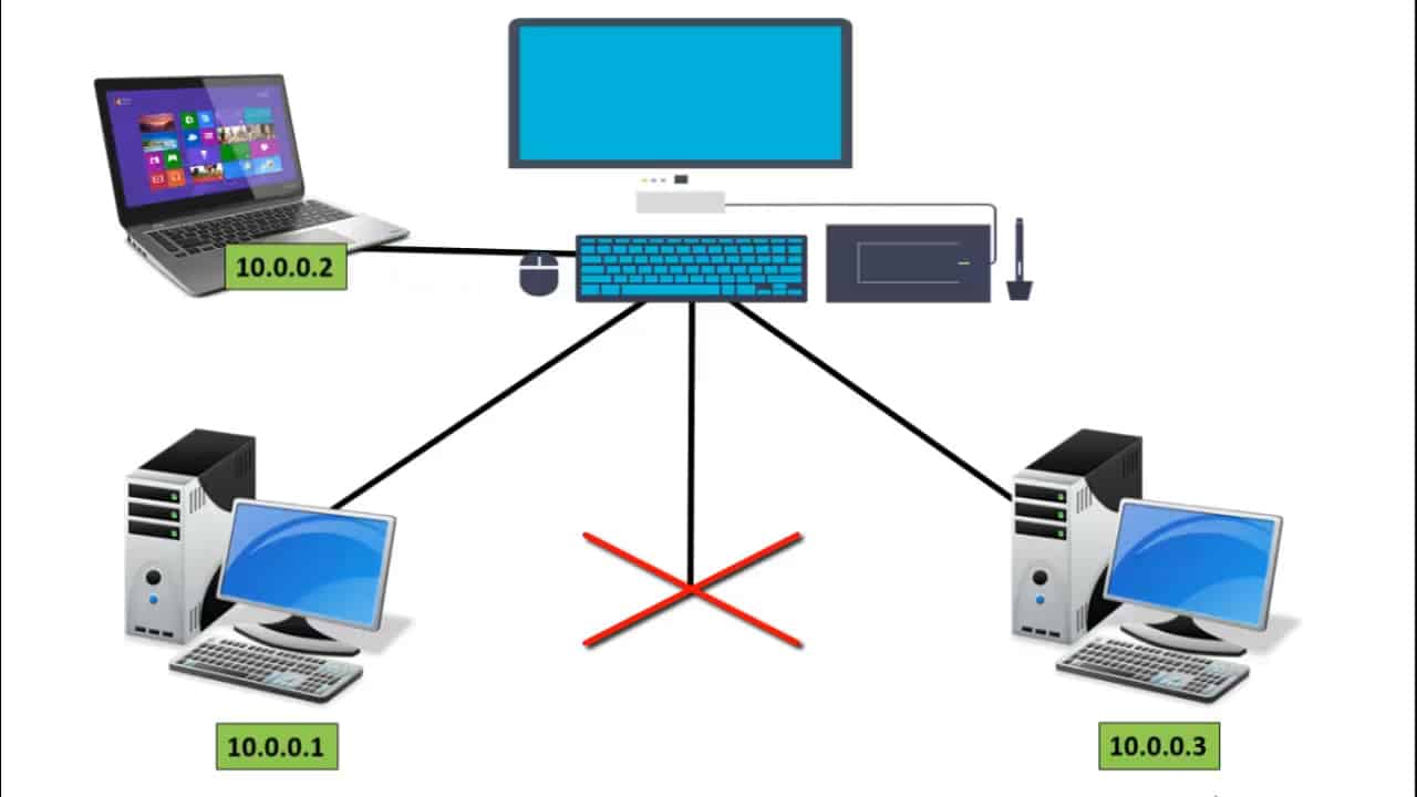 what is dhcp in networking