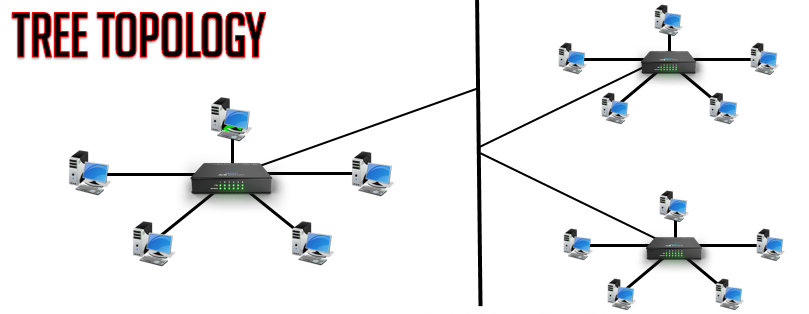 Computer Network Topology and its Types with Live Example | 2018